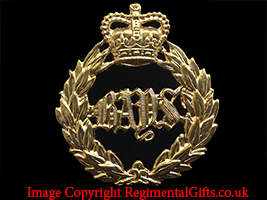 The Queen's Bays  Cap Badge