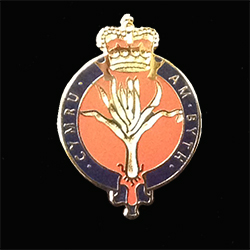 Welsh Guards Lapel Pin 