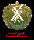The Queens Own  Cameron Highlanders Lapel Pin 
