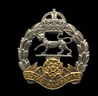 Royal Hampshire Regiment Cap Badge Kinks Crown