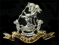 The Duke Of Wellington's Regiment Cap Badge