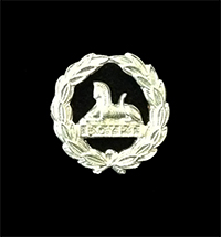 Gloucestershire Regiment (Glosters) Back Badge