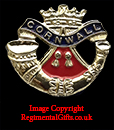 The Duke Of Cornwall's Light Infantry (DCLI) Lapel Pin 