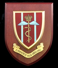 23 Parachute Field Ambulance Royal Army Medical Corps (RAMC) Wall Shield Plaque