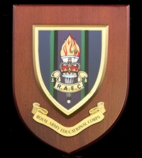 Royal Army Education Corps (RAEC) Wall Shield Plaque
