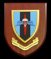 RECCE Troop 40 Commando Royal Marines (RM) Wall Shield Plaque