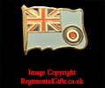 Royal Air Force (RAF) RAF Ensign Lapel Pin 