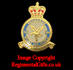 Royal Air Force (RAF) 216 Sqn Lapel Pin 