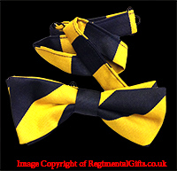The Princess Of Wales's Royal Regiment (PWRR) Striped Bow Tie