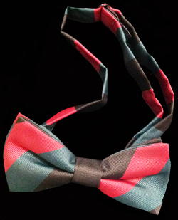 The Yorkshire Regiment Striped Bow Tie