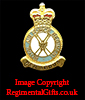 Royal Air Force (RAF) Regiment Lapel Pin 